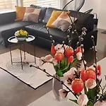 Villa Pasivní Dům Uprostřed Louky *