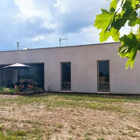 Pasivni Dum Uprostred Louky Villa Bitov (Novy Jicin)