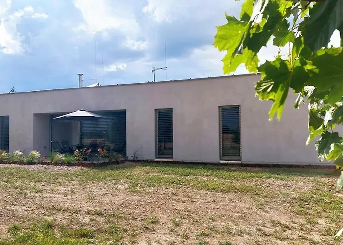 Pasivni Dum Uprostred Louky Villa Bitov (Novy Jicin)
